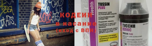 дживик Белокуриха