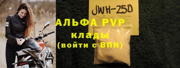 дживик Белокуриха