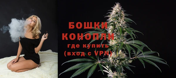 дживик Белокуриха